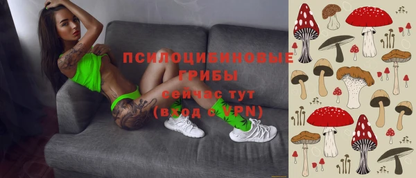 круглые Богородицк