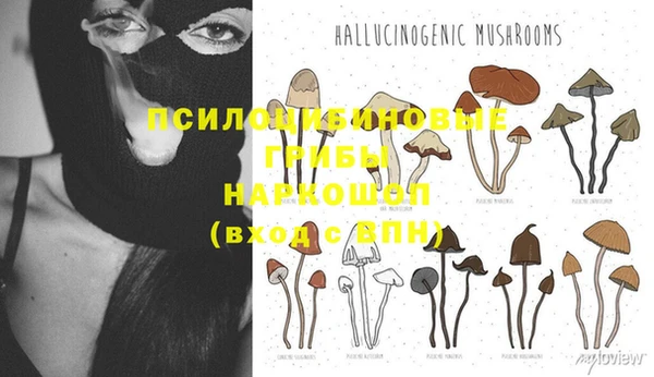 дурь Богданович