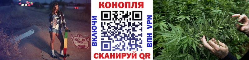 kraken рабочий сайт  где купить наркоту  Острогожск  Канабис планчик 